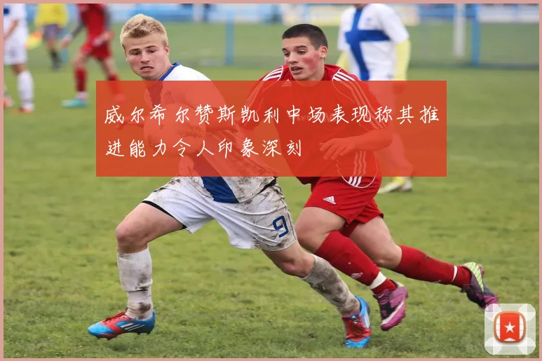 威尔希尔赞斯凯利中场表现称其推进能力令人印象深刻